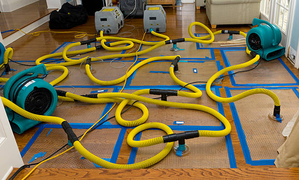 Professional Basement Flood Cleanup technician working in Searsport, ME